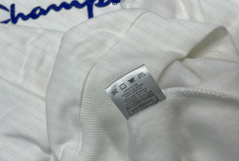 Champions Hoodie 6