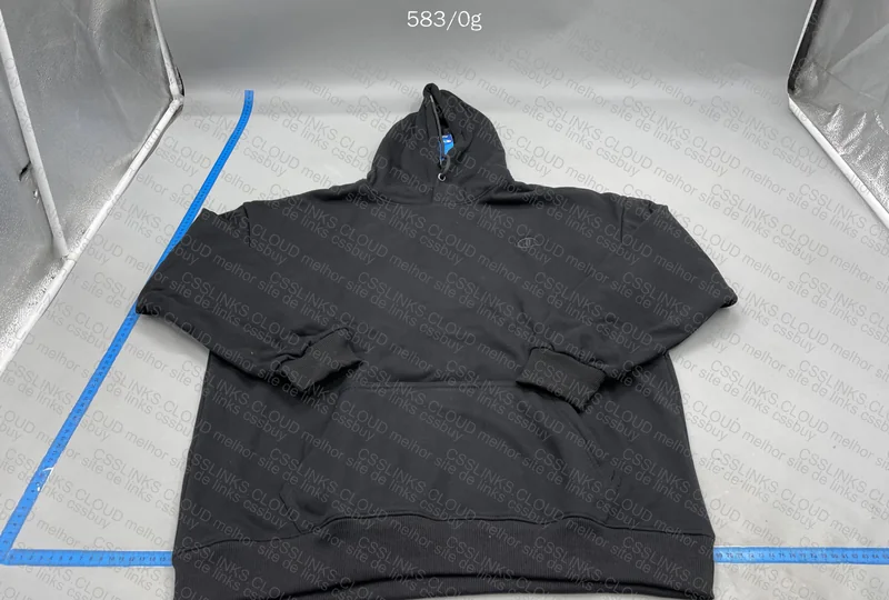 Champions Hoodie