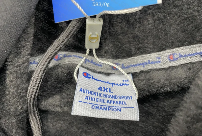 Champions Hoodie 3