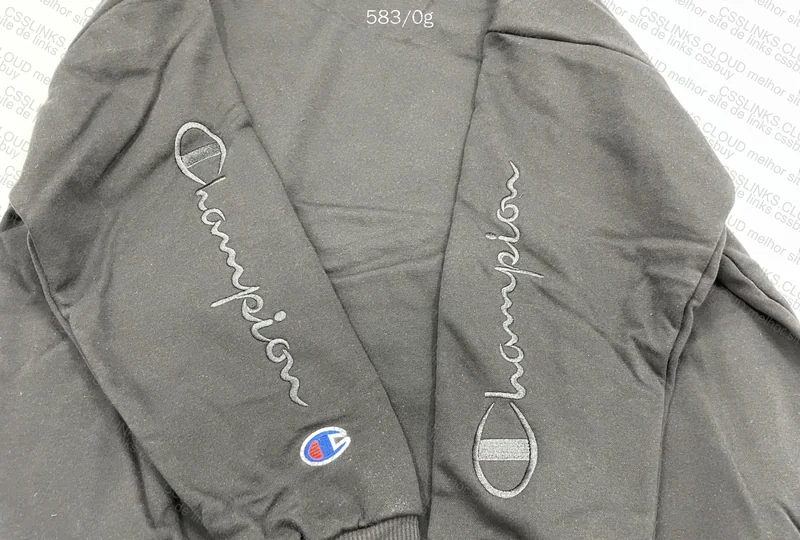 Champions Hoodie 5