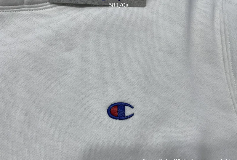Champions Hoodie GL? 3