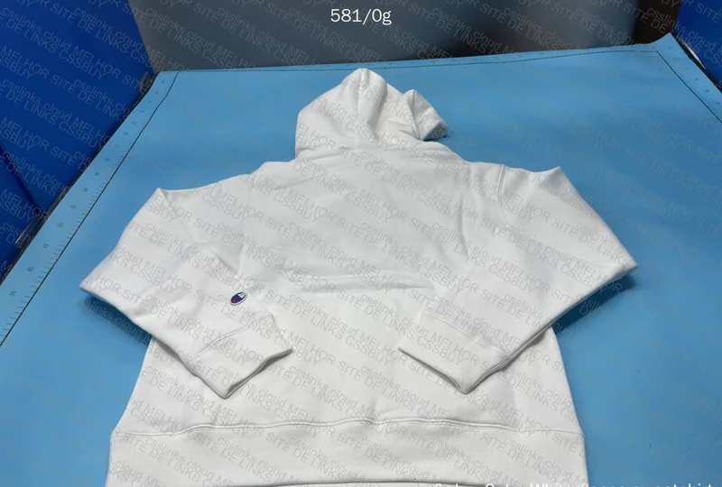 Champions Hoodie GL? 4