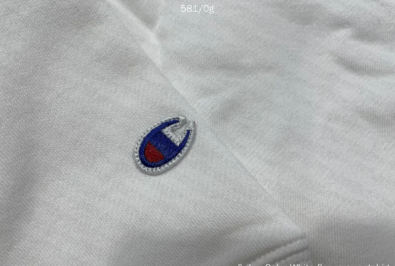 Champions Hoodie GL? 5