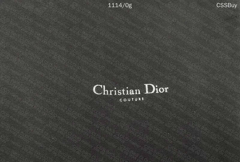 Christian Dior Hoodie 2