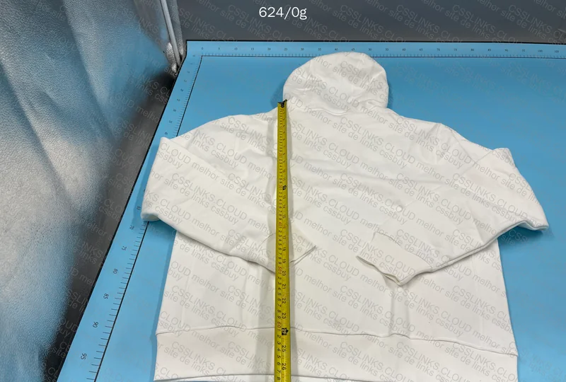 White Hoodie (GL or RL?) 4