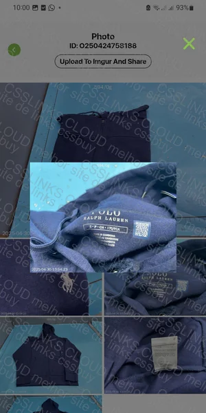 Ralph Lauren Hoodie (Blind Box)