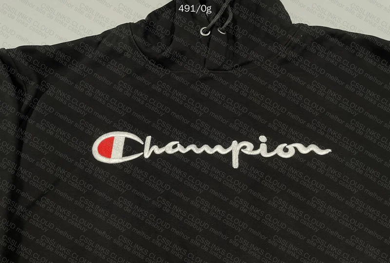 Champion Hooded Hoodie 2