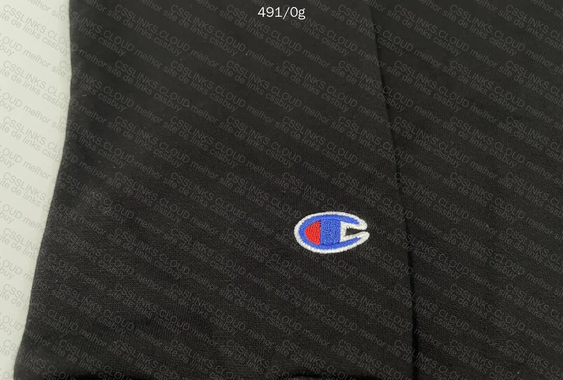 Champion Hooded Hoodie 5