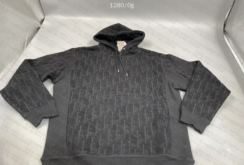 Dior Hoodie 2