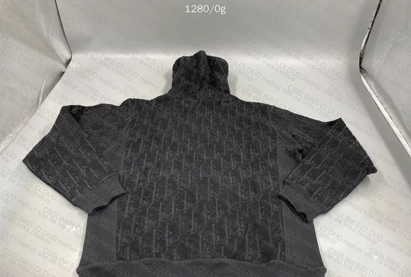 Dior Hoodie 3