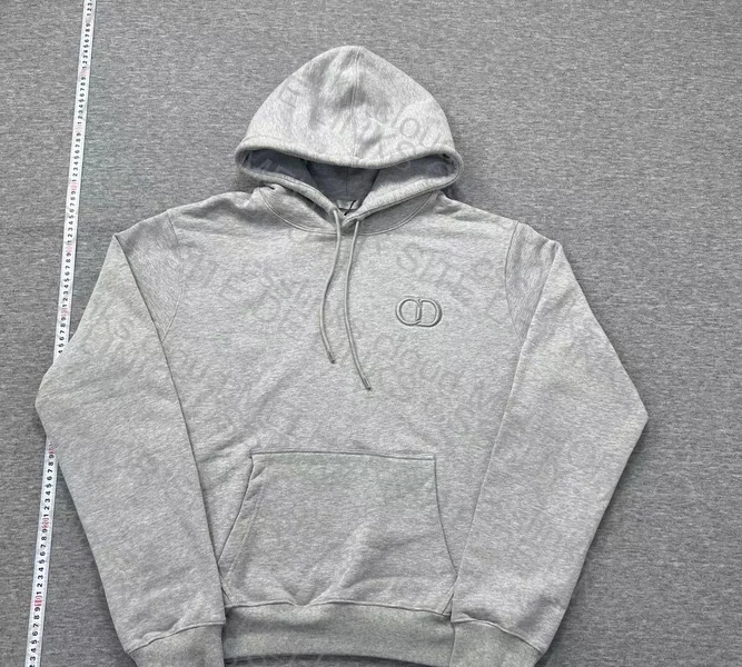Dior Hoodie 2
