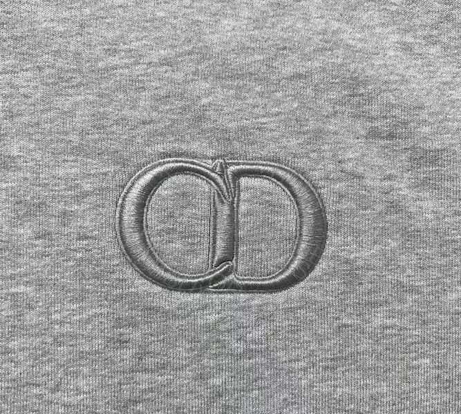 Dior Hoodie 4