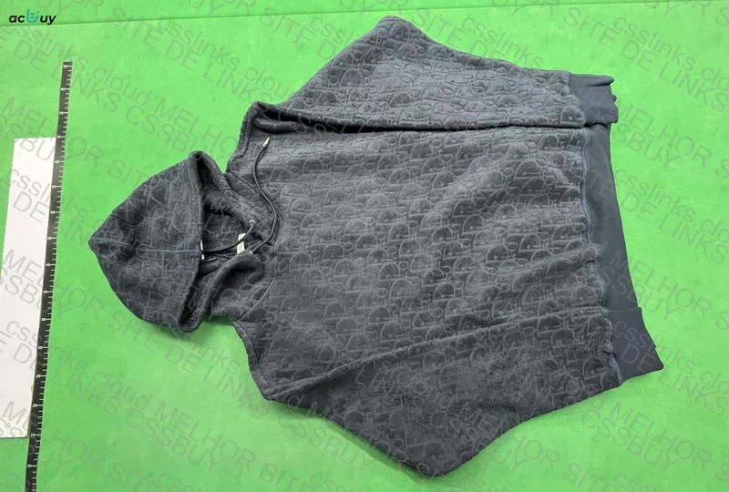 Dior Hoodie 3
