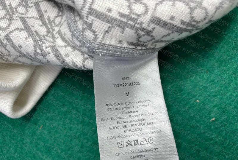 Dior Hoodie 2