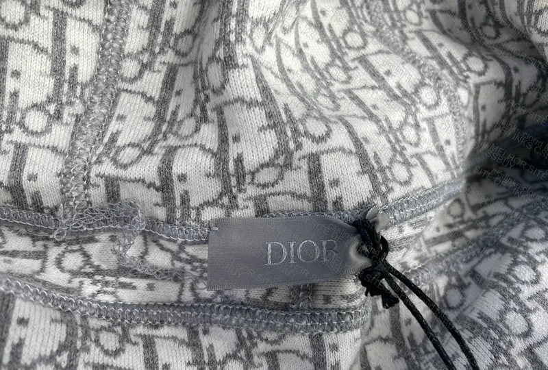 Dior Hoodie 4