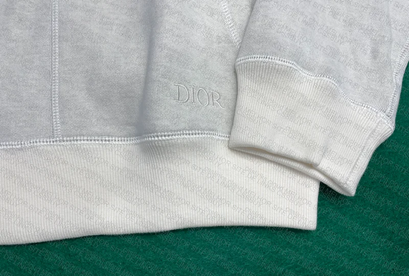 Dior Hoodie 5
