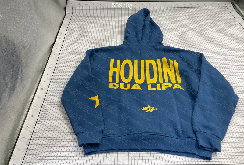 Dua Lipa Hoodie - ZARA 5