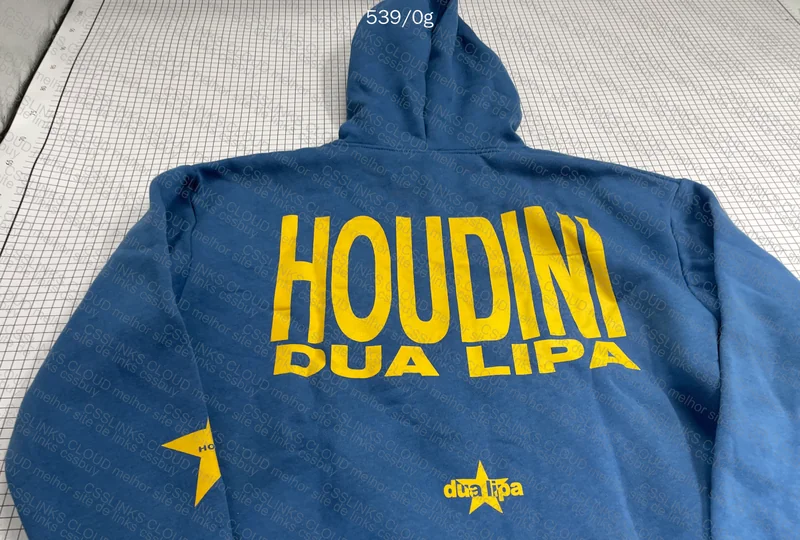 Dua Lipa Hoodie - ZARA 6