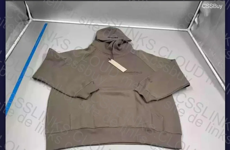 Essentials Hoodie 2