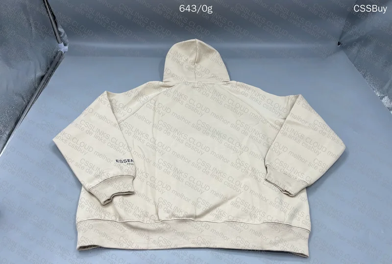 Essentials Hoodie 2