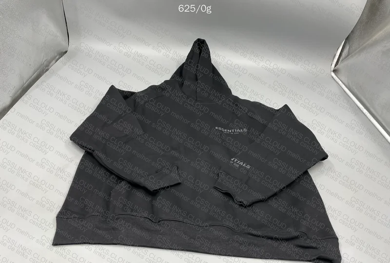 Essentials Hoodie 2