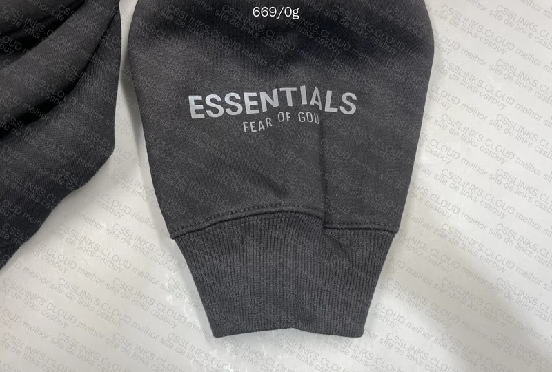 Essentials FOG Hoodie 2