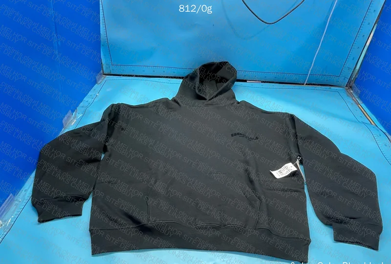 Essentials FOG Hoodie 2