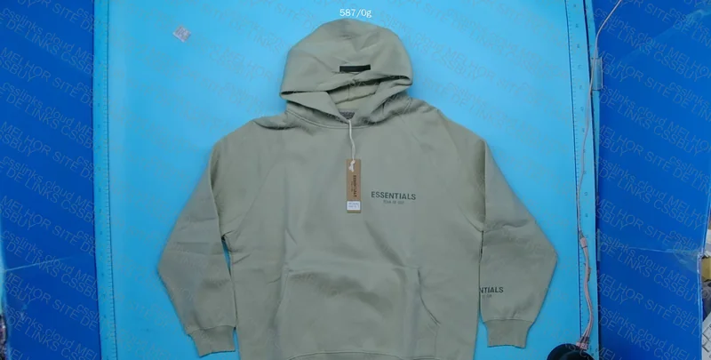 Essentials FOG Hoodie 2