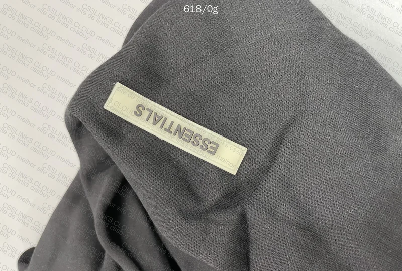 Essentials Hoodie (GL?)