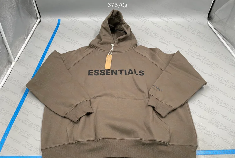 Essentials Hoodie (GL?) 2