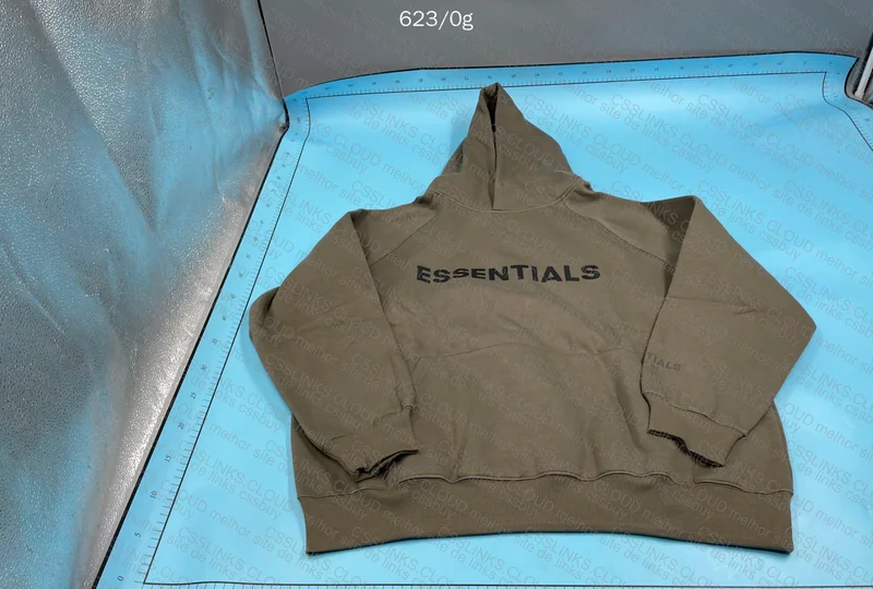 Essentials Hoodie (GL✅?)