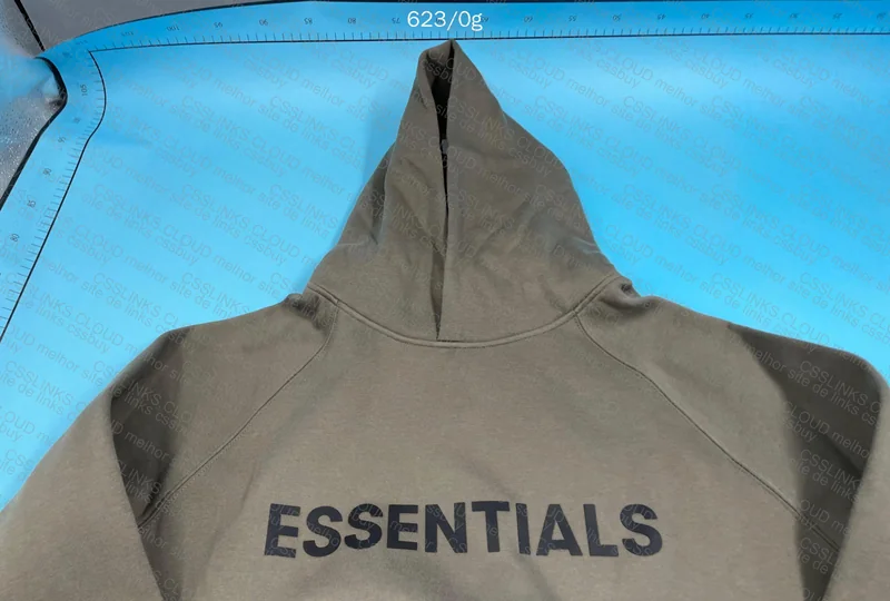 Essentials Hoodie (GL✅?) 2