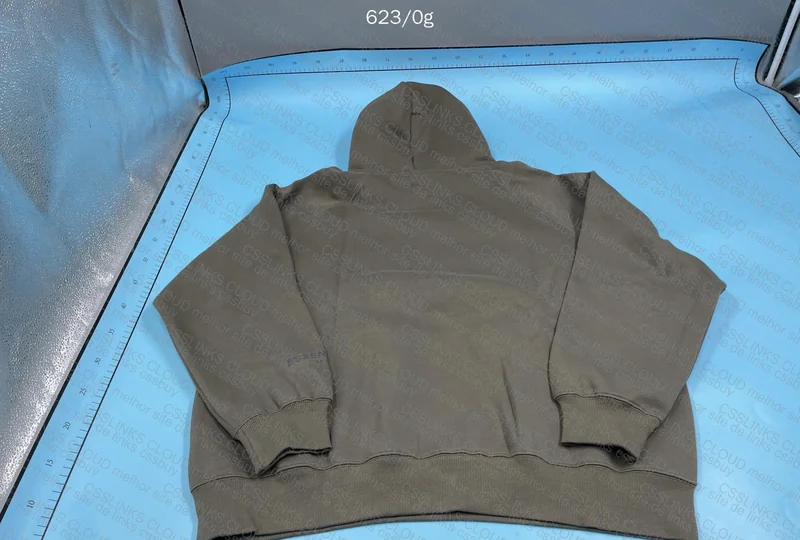 Essentials Hoodie (GL✅?) 6