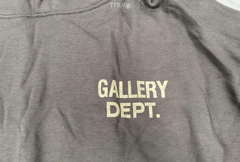 Gallery Dept Hoodie 2