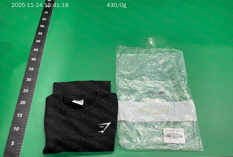 Gymshark OG Hoodie 2