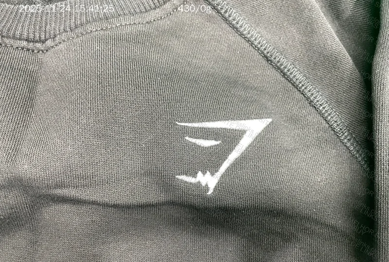 Gymshark OG Hoodie 6