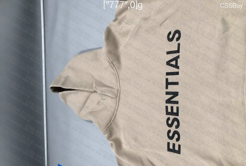 Essentials Hoodie 2