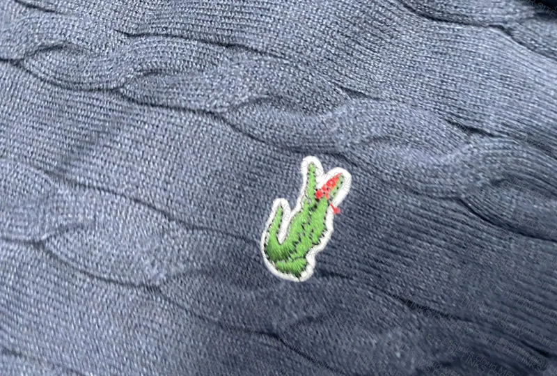 Lacoste Hoodie 3