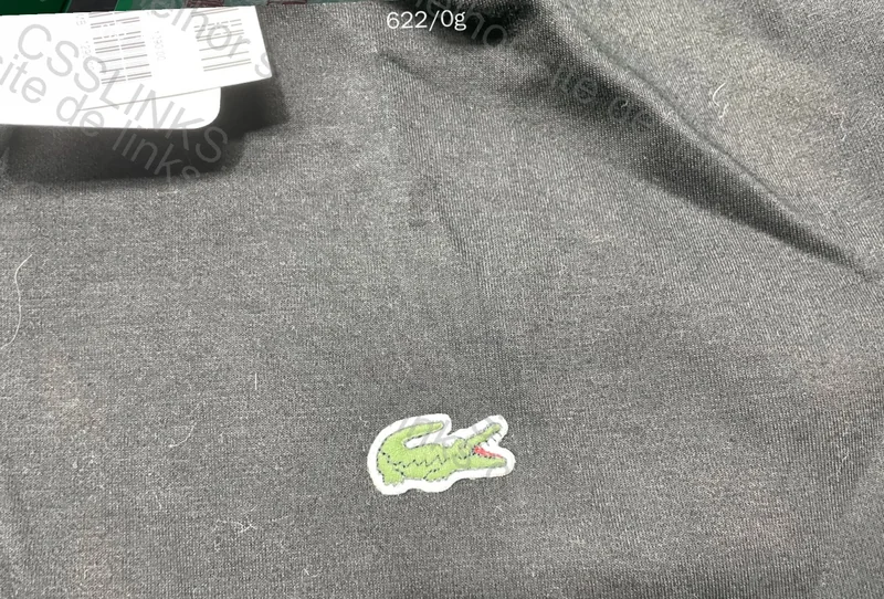 Lacoste Hoodie 2