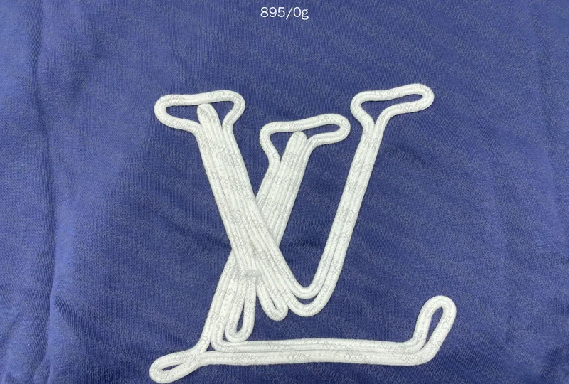 Louis Vuitton Hoodie 6