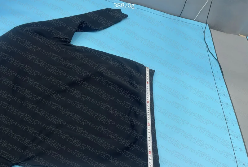 Moncler Hoodie 10