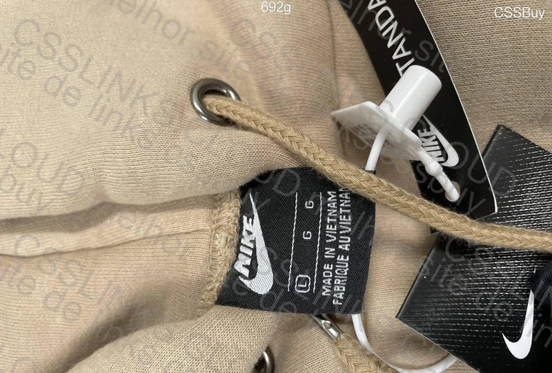 Nike Mini Swoosh Hoodie 4