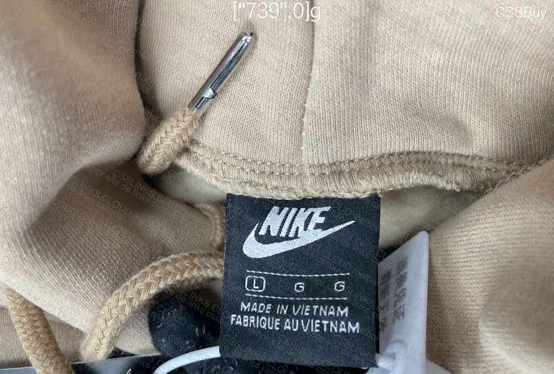 Nike Mini Swoosh Hoodie 5