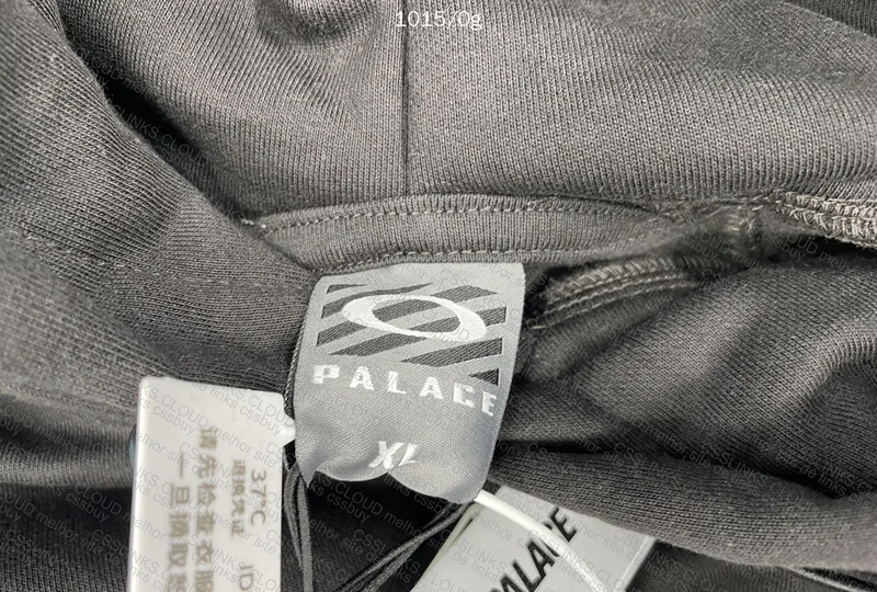 Palace Oakley Hoodie 4