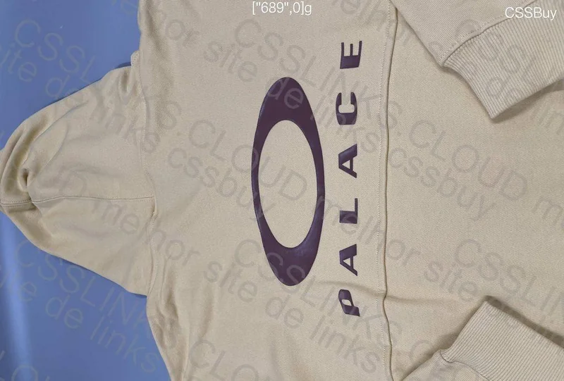 Palace x Oakley Hoodie