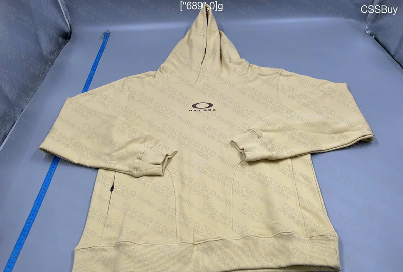 Palace x Oakley Hoodie 2