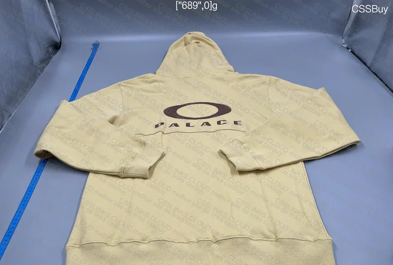 Palace x Oakley Hoodie 3