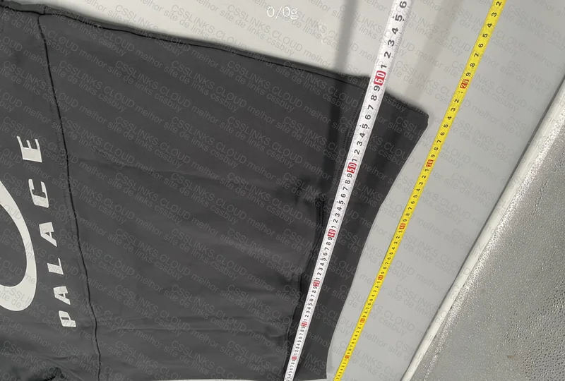 Palace x Oakley Hoodie 10