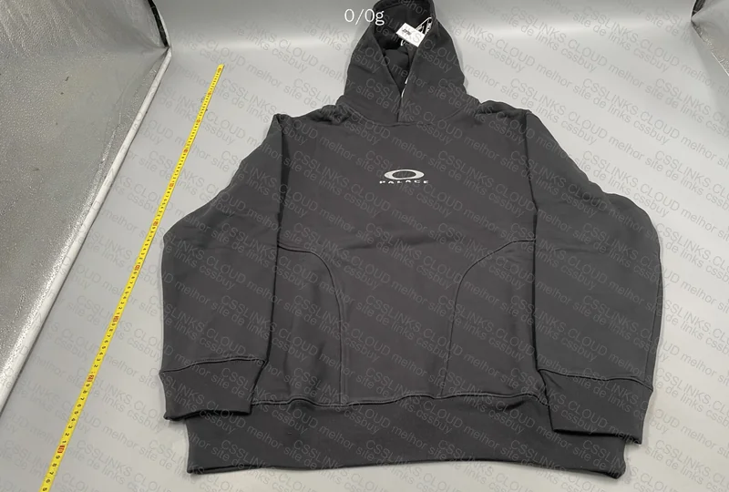 Palace x Oakley Hoodie 2