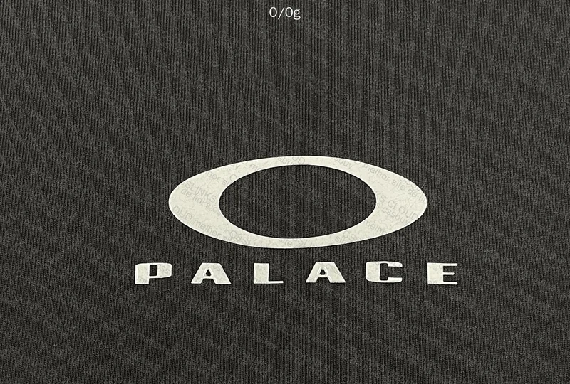 Palace x Oakley Hoodie 3